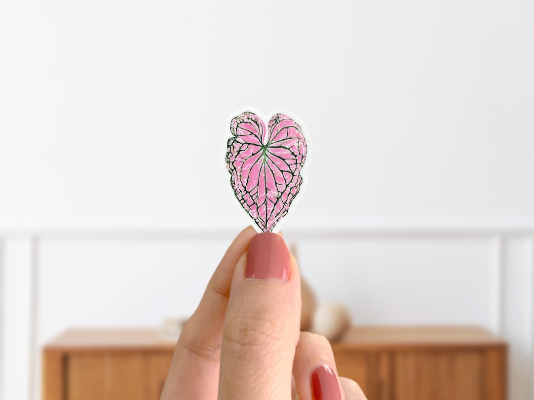 Pink Caladium Leaf Sticker: Glossy Vinyl Houseplant Decal - Etsy