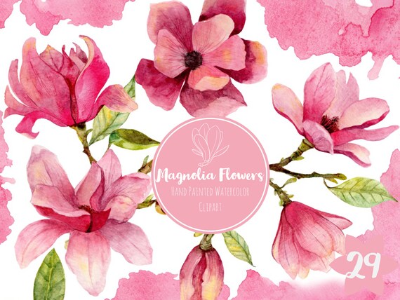 Download Watercolor Magnolia Flowers Clipart Floral Clip Art Magnolia Etsy