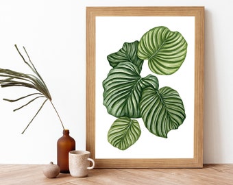Impresión artística de Calathea Orbifolia: Pintura botánica en gouache