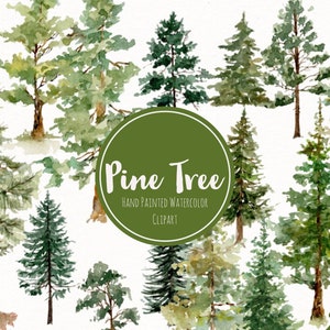 Watercolor Pine Trees Clipart- Conifers Forest Art- Watercolor Greenery Clipart- Woodland Clip Art- Hand Painted Watercolor Clipart