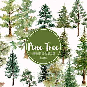 Clipart di pini ad acquerello - Arte forestale di conifere - Clipart di vegetazione ad acquerello - Clip art di boschi - Clipart di acquerelli dipinti a mano