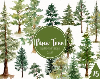 Clipart di alberi di pino dell'acquerello - arte della foresta di conifere - Clipart del verde dell'acquerello - ClipArt del terreno boscoso - Clipart dell'acquerello dipinto a mano