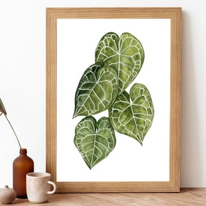 Aquarelle Anthurium Clarinervium Peinture Imprimable Art- Botanique Plante Art Impression- Plante Amoureuse Art Mural Art- Feuilles Vertes Anthurium