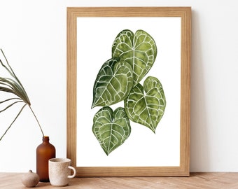 Watercolor Anthurium Clarinervium Painting Printable Art- Botanical Plant Art Print- Plant Lover Wall Art- Green Anthurium Leaves