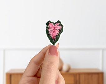 Pink And Green Caladium Leaf Sticker- Botanical Die Cut Glossy Vinyl Houseplant Sticker- Phone Case Mini Sticker- Water Bottle Sticker