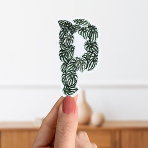 Pegatina de planta de peperomia con la letra P: pegatina inicial del alfabeto botánico: calcomanía con hojas botánicas mate para computadora portátil: personalice botellas de agua
