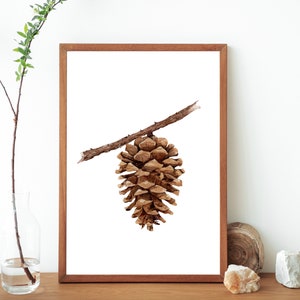 Watercolor Pine Cone Botanical Print- Pine Cone Art- Printable Nature Art- Pine Cone Wall Art- Forest Woodland Art- Botanical Tree Print-