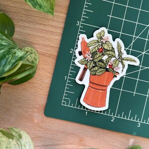 Peut inclure: Un autocollant repr&eacute;sentant une cafeti&egrave;re orange stylis&eacute;e remplie de feuilles vertes, de fleurs blanches et de baies rouges. L'autocollant est pos&eacute; sur un tapis de d&eacute;coupe vert avec des lignes de quadrillage. L'image est sur une surface en bois avec des plantes vertes.