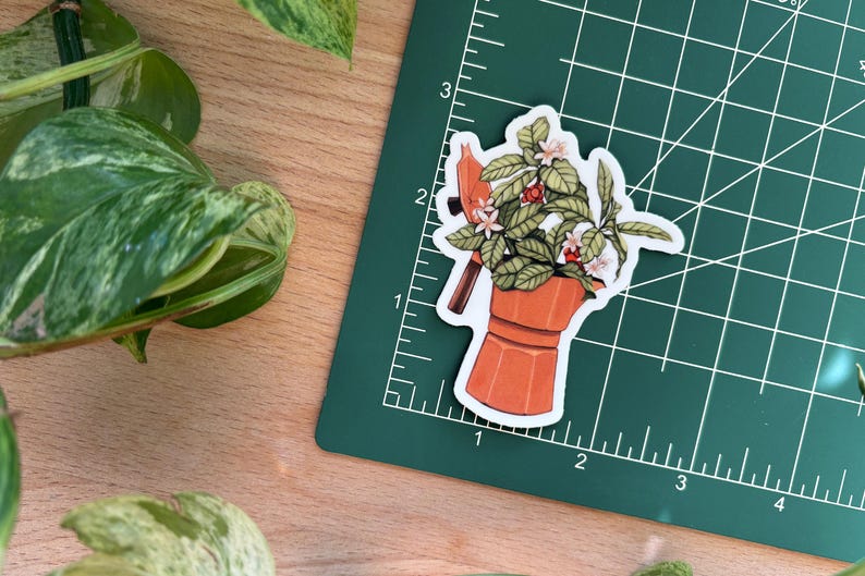 Peut inclure: Un autocollant repr&eacute;sentant une cafeti&egrave;re orange stylis&eacute;e remplie de feuilles vertes, de fleurs blanches et de baies rouges. L'autocollant est pos&eacute; sur un tapis de d&eacute;coupe vert avec des lignes de quadrillage. L'image est sur une surface en bois avec des plantes vertes.