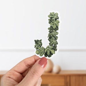 Pegatina de planta de jatropha con la letra J - Pegatina con monograma botánico - Hoja botánica mate - Pegatina con la inicial del alfabeto