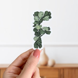 Pegatina de planta de higuera de hoja de violín con letra F - Pegatina inicial del alfabeto botánico - Pegatina mate con hojas botánicas para personalizar la computadora portátil