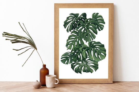 Monstera Deliciosa Kunstdruck: Aquarell Zimmerpflanze Wanddeko - Etsy.de