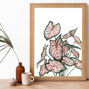 Pink Caladium Leaf Botanical Watercolor Painting Art Print- Apple Blossom Caladium Houseplant- Pink and Green Leaf Plant Wall Art