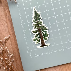 Pine Tree Sticker Die Cut Glossy Vinyl Hydro Flask Sticker Nature Woodland Stickers Laptop Decal image 2