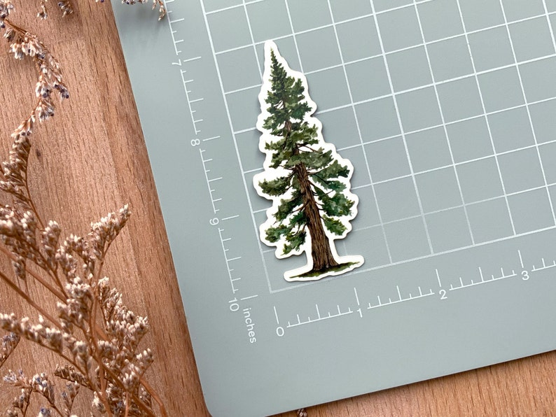 Pine Tree Sticker Die Cut Glossy Vinyl Hydro Flask Sticker Nature Woodland Stickers Laptop Decal image 2