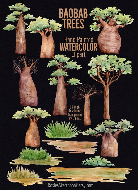 水彩画のバオバブの木のクリップアート：手描きの木のクリップアート