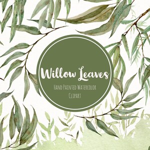 Watercolor Willow Leaves Clipart- Hand Painted Greenery Clip Art- Watercolour Eucalyptus Leaf Clipart- Botanical Leaves Clipart