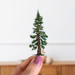 Pine Tree Sticker Die Cut Glossy Vinyl Hydro Flask Sticker Nature Woodland Stickers Laptop Decal image 1