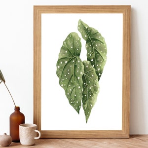 Watercolor Angel Wing Begonia Leaves Painting Printable Art Print- Botanical Begonia Plant Art Print- Begonia Leaf Plant Wall Art