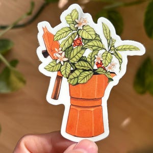 Peut inclure: Un autocollant orange repr&eacute;sentant une plante de caf&eacute; dans une cafeti&egrave;re italienne. La plante a des feuilles vertes, des fleurs blanches et des baies rouges. La cafeti&egrave;re est orange avec une poign&eacute;e marron et un dessus noir.