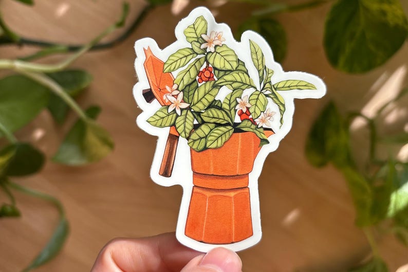 Peut inclure: Un autocollant orange repr&eacute;sentant une plante de caf&eacute; dans une cafeti&egrave;re italienne. La plante a des feuilles vertes, des fleurs blanches et des baies rouges. La cafeti&egrave;re est orange avec une poign&eacute;e marron et un dessus noir.