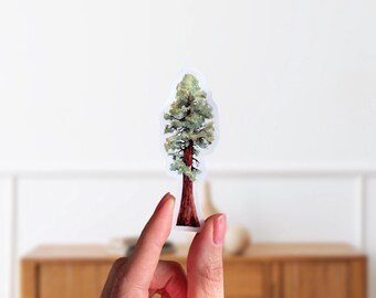 Redwood Tree Matte Sticker- Botanical Nature Decal