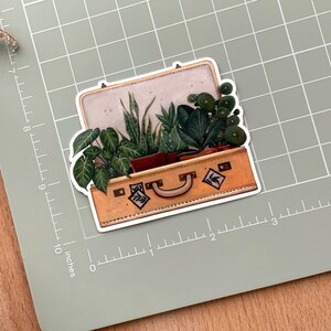 May include: A vintage suitcase filled with various green plants. The suitcase is brown with a leather handle and has a few stickers on it.