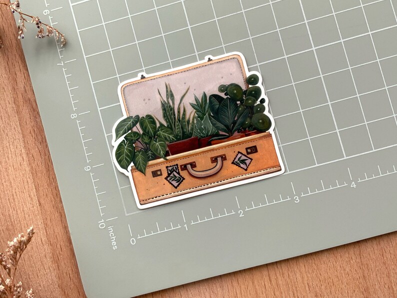 May include: A vintage suitcase filled with various green plants. The suitcase is brown with a leather handle and has a few stickers on it.
