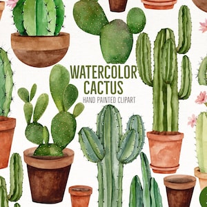 Acuarela Cactus Clipart- Gráficos de cactus pintados a mano- Clipart de plantas del desierto
