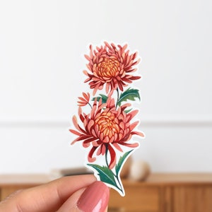 Peut inclure: Un autocollant repr&eacute;sentant une illustration aquarelle de deux chrysanth&egrave;mes roses avec des feuilles vertes.
