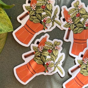 Peut inclure: Quatre autocollants repr&eacute;sentant une cafeti&egrave;re orange avec un arrangement floral. Les autocollants ont une bordure blanche et sont dispos&eacute;s sur une surface verte. L'arrangement floral comprend des feuilles vertes, des fleurs blanches et des baies rouges.