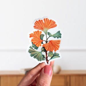 Puede incluir: Una pegatina con una ilustración botánica de un ginkgo. El diseño presenta hojas en forma de abanico de color naranja brillante y follaje verde, con un tallo detallado y pequeños brotes verdes. La pegatina se sostiene sobre un fondo neutro.