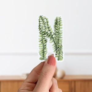 Op de afbeelding: Een groene varenblad sticker in de vorm van de letter N. De sticker is op een witte achtergrond en wordt vastgehouden door een hand.