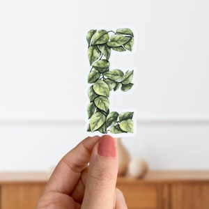 Pegatina de planta Pothos dorado con letra E - Pegatina del alfabeto botánico - Hojas botánicas mate - Pegatina inicial