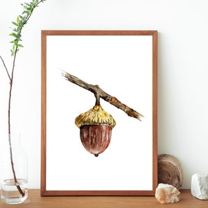 Watercolor Acorn Painting: Botanical Nature Art Print (Digital Download)