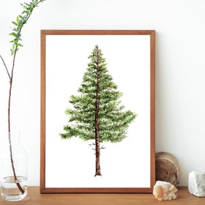 Pine Tree Printable Watercolor Poster- Botanical Tree Painting- Minimalist Tree Painting- Hand Painted Tree Art
