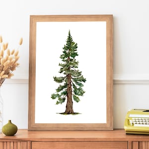 Watercolor Pine Tree Art Print: Evergreen Woodland Decor