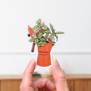 Peut inclure: Un autocollant repr&eacute;sentant une cafeti&egrave;re orange avec une plante qui en sort. La plante a des feuilles vertes, des fleurs blanches et des baies rouges. L'autocollant est tenu entre deux doigts sur un fond blanc.