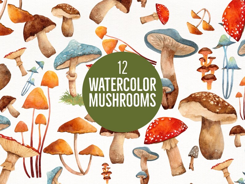 Watercolor Mushroom Woodland Clipart Forest Clipart Mushroom Etsy UK