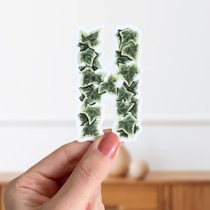Letra H, pegatina de planta de hiedra inglesa - Pegatina inicial del alfabeto botánico Hedera Helix - Pegatina mate con hojas botánicas para computadora portátil