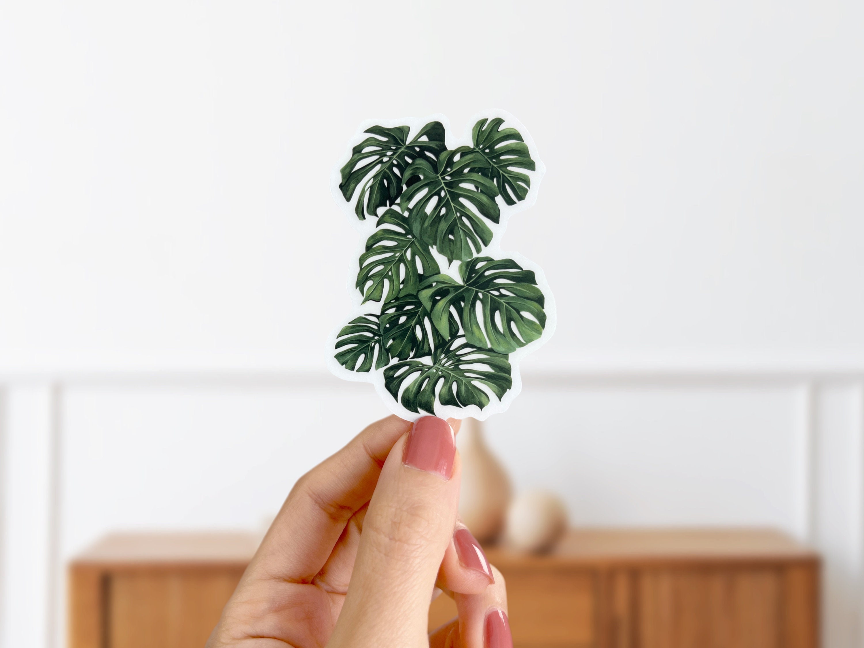 Monstera Deliciosa Matt Klarer Vinyl Aufkleber - Grüner Zimmerpflanzen Aufkleber - Pflanzen Aufkleber - Laptop Wasserflasche Aufkleber