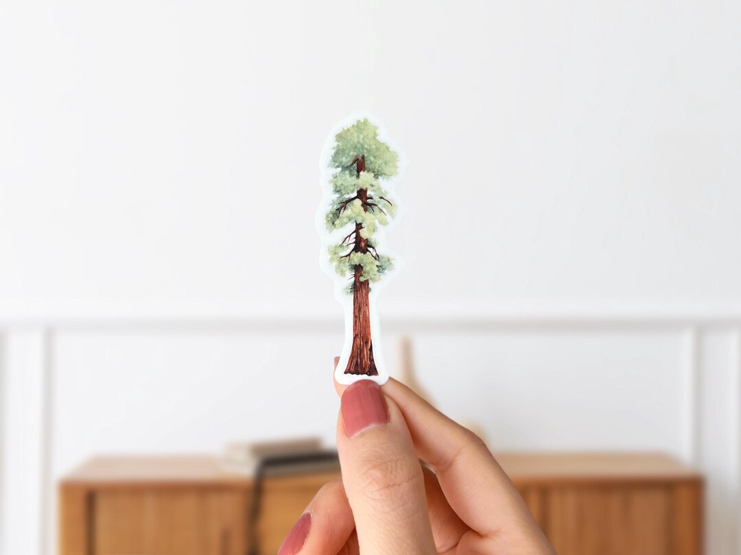 Redwood Tree Sticker: Matte Vinyl Die Cut Decal - Etsy