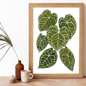 Anthurium Clarinervium Plant Painting Art Print- Gouache Botanical Illustration- Houseplant Wall Art- Velvet Cardboard Anthurium Plant Art