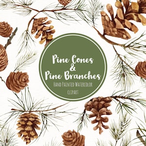 Watercolor Pine Cone Clipart- Hand Painted Woodland Pine Branches Clip Art- Hand Drawn Pine Cone Graphics- Pine Cone Wedding Nature Clipart