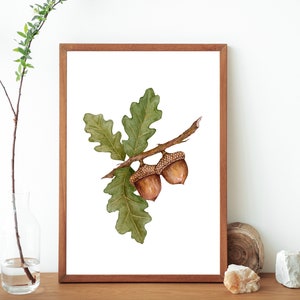 Watercolor Acorn Botanical Painting Printable Art Print- Oak Leaves Watercolor Art Print- Acorn Poster- Nature Inspired Wall Art