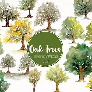 Aquarelle peinte à la main chêne arbres Clipart - Nature forêt Art - forêt automne chêne arbre Clipart - aquarelle à feuilles persistantes Art - arbres Clip Art