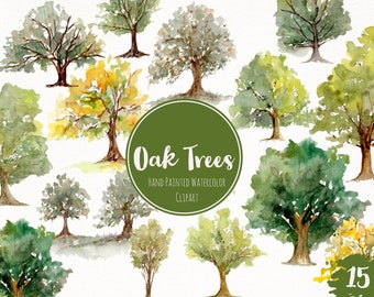 Watercolor Hand Painted Oak Trees Clipart- Nature Forest Art- Woodland Fall Oak Tree Clipart- Watercolor Evergreen Art- Trees Clip Art