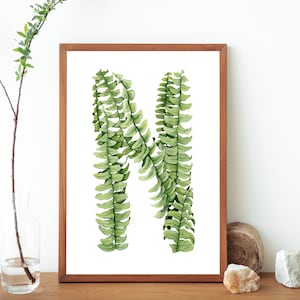 Letra botánica N Alfabeto Impresión- Pintura de plantas de helecho de Boston- Letra N Nephrolepis Exaltata Planta de interior- Ilustración botánica Arte de pared