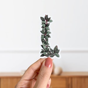 Pegatina de la planta Ludisia con la letra L - Pegatina del alfabeto botánico - Pegatina de hojas botánicas mate - Pegatina con la inicial del nombre