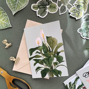 Carte de voeux vierge plante Lys de la paix - Cartes d'illustration botanique - Carte de remerciement pour les amateurs de plantes - Cartes de correspondance artistiques